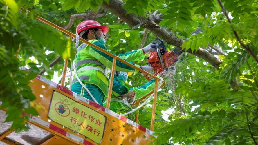 生態(tài)綠化工程采購方案范本